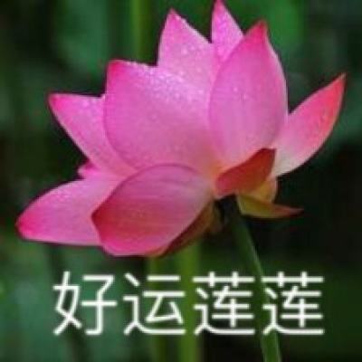 极武尊ol手游内购破解版下载